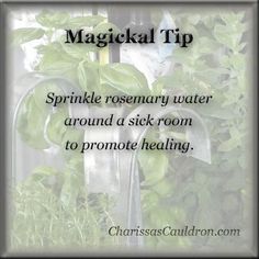 Visit the post for more. Rosemary Water, Healing Spells, Herbal Magic, Spells Witchcraft