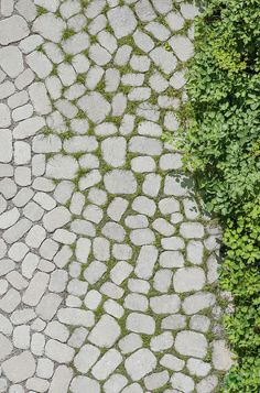 an aerial view of a cobblestone walkway with grass growing between it and the ground