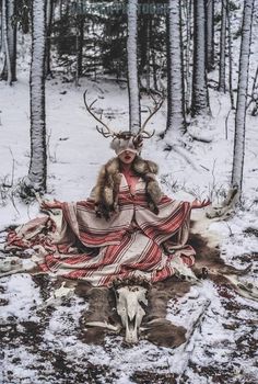 a deer with antlers is sitting in the snow