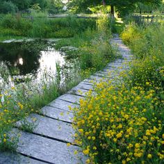 a wooden walkway next to a pond surrounded by wildflowers