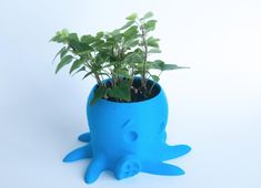 a blue planter with plants in it on a white surface