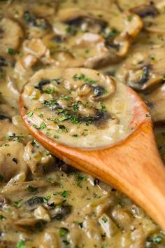 a wooden spoon in a mushroom soup with parsley