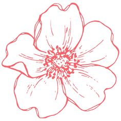 a drawing of a flower on a white background