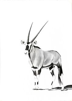 an antelope is standing in the snow with its long horns curled up to it's sides