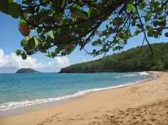 the beach is clean and clear for us to see