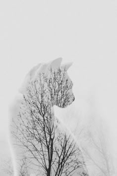 a horse statue in the snow with bare trees behind it and foggy sky above