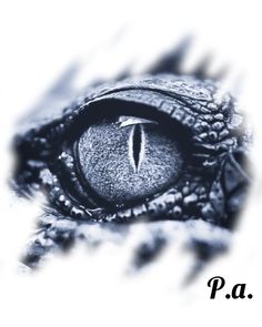 an eye with the word p a in it's center and a white background