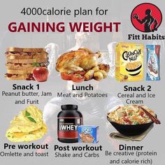 Weight Gain Drinks, Weight Gain Diet Plan, Weight Gain Plan, Tips To Gain Weight, Ways To Gain Weight, Healthy Weight Gain Foods, Food To Gain Muscle, Weight Gain Diet, Pause Button