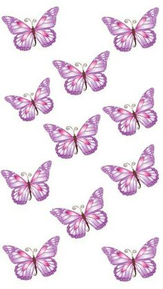 purple butterflies flying in the air with one on its back and another on its side