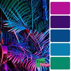 purple and green palm leaves with the words time image