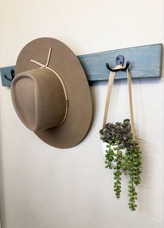 a hat hanging on the wall next to a green plant and a blue coat rack