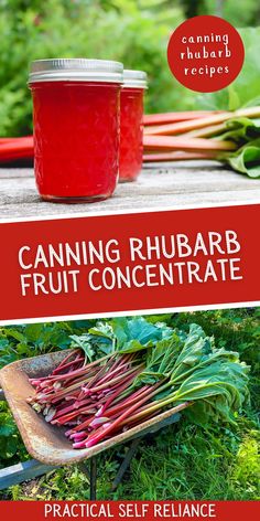 a jar of rhubarb fruit concentrate sitting on top of a table