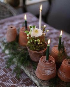 candles are arranged in clay pots with moss and flowers on the table top, surrounded by small potted plants