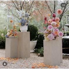 three cement planters with flowers in them