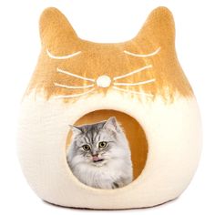 a cat is sitting in a kitty house