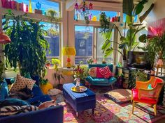 a living room filled with furniture and lots of plants on the windows sills