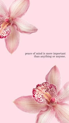 two pink flowers on a pink background with the words peace of mind is more important than anything