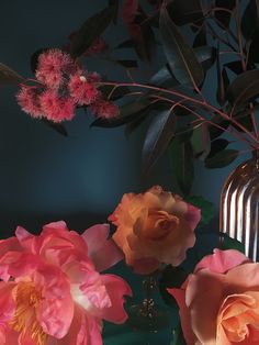 pink and orange flowers in a vase on a table