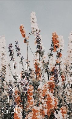 flowers with the words let go and let go written in white on top of them