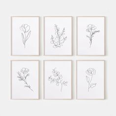 four framed flowers are shown on a white wall, and one is drawn in black ink