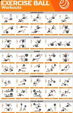 the exercise ball workout chart shows how to use it