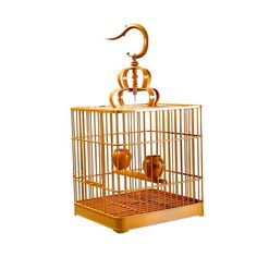 a golden birdcage with two birds in it's cage, on a white background