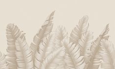 an image of some white leaves on a beige wallpaper background that looks like something out of the woods