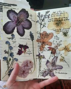 a hand holding an open book with flowers on it and writing in the pages below