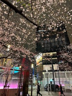 people are walking down the sidewalk under blossoming trees in front of a large building