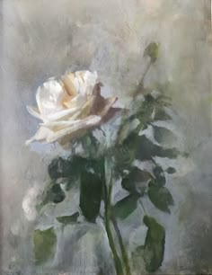 a single white rose sitting in a vase