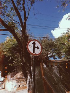 a street sign sitting on the side of a road next to a tree and stairs