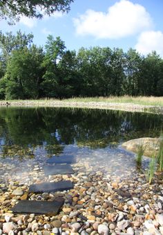 a pond surrounded by rocks and grass with trees in the background