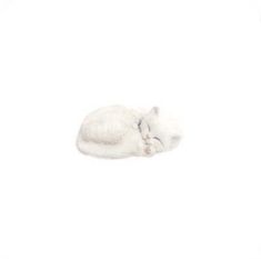 a small white cat sleeping on top of a white floor next to a black and white wall