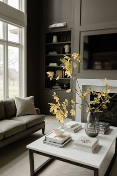 a living room with a couch, coffee table and bookcase in front of a large window