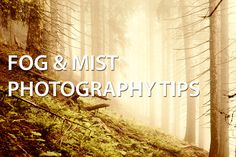 fog and mist photography tips for beginners