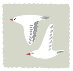 two white birds flying in the air with red beaks on their heads and wings