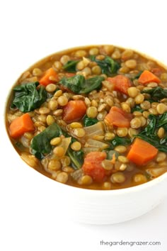 a white bowl filled with lentils and carrots