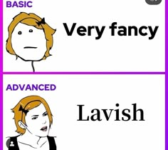 two cartoon faces, one with the words'basic and very fancy '