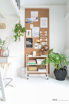 a white room with plants and pictures on the wall next to a ladder in front of it