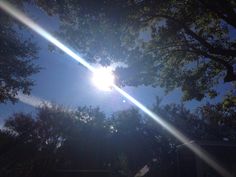 the sun shines brightly through the trees on a sunny day in this photo taken from below