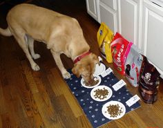 a brown dog eating food from two plates on the floor next to a kitchen counter