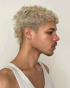 Explore Top 17 Curly Blonde Haircuts for Men in 2024: Trendy Styles & Cuts Aesthetic Hair Curly, Perm Mullet, Mullet Aesthetic, Mini Mullet, Curly Hair Mullet, Neon Hair Color, Male Haircuts Curly, Retro Curls, Men Blonde Hair