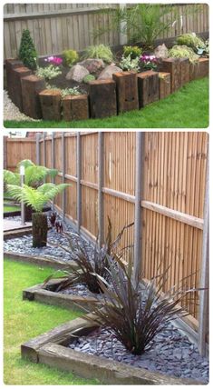 two pictures showing different types of plants in the yard and on the side of a fence