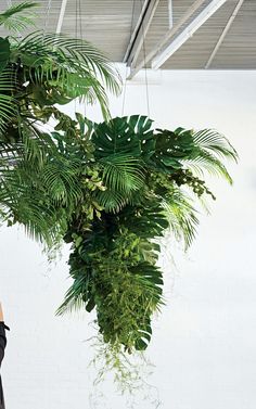 a plant hanging from the ceiling in an office space with white walls and exposed ceilings