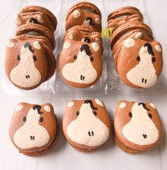 there are many cookies shaped like animals in the shape of giraffe's head