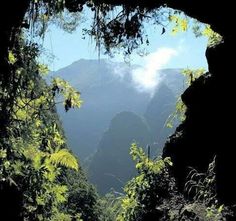 the mountains are covered with trees and clouds in the distance, as seen through a hole in the ground