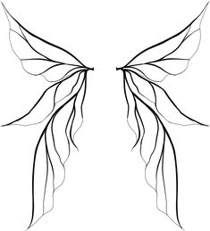 the outline of a butterfly's wings is shown in black and white