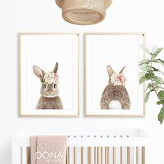 two pictures of rabbits with flowers on their heads hanging above a crib in a baby's room