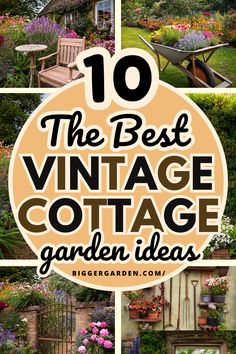 Discover 10 Creative Ways to Add Vintage Charm to Your Cottage Garden. Incorporate rustic details, vintage decor, and charming plants for a serene outdoor retreat.