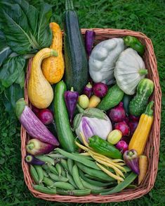 a basket filled with lots of different types of vegetables